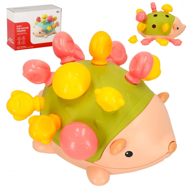 Sensoryczny jeż Montessori zielony