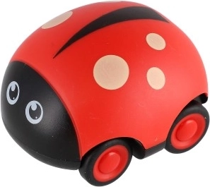 Chrząszcz Biedronka