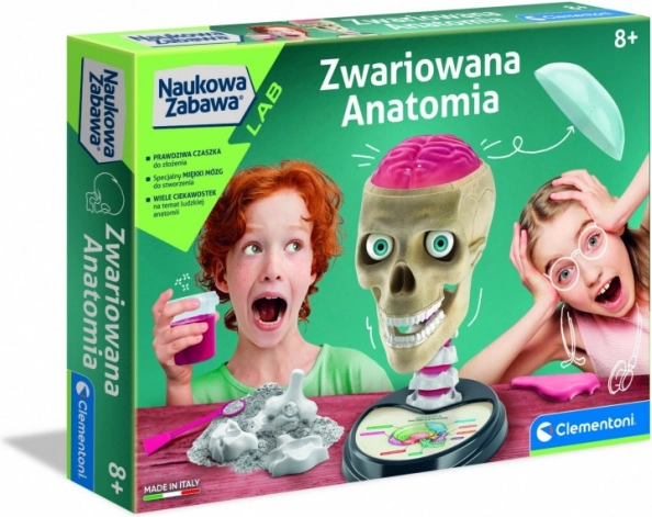 Szalona anatomia zestaw edukacyjny
