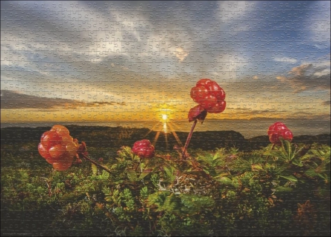 Puzzle Heye Jeżyny Moroszka 1000 elementów