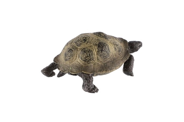 słoń żółw zooted plasterek 8cm w woreczku