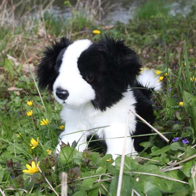 Pluszowa zabawka Border Collie 30 cm od Rappa - Eco-Friendly