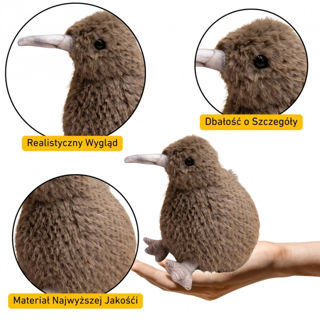 Puszysty ptak Kiwi