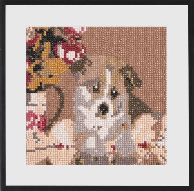 GRAFIX Malowanie Diamentowe Słodki Szczeniak 20x20cm