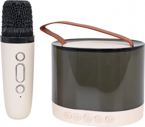 Czysty i mocny dźwięk z DSP