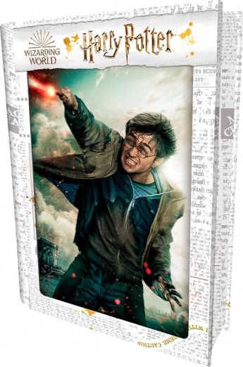 Puzzle 3D HARRY POTTER – Harry, 300 elementów