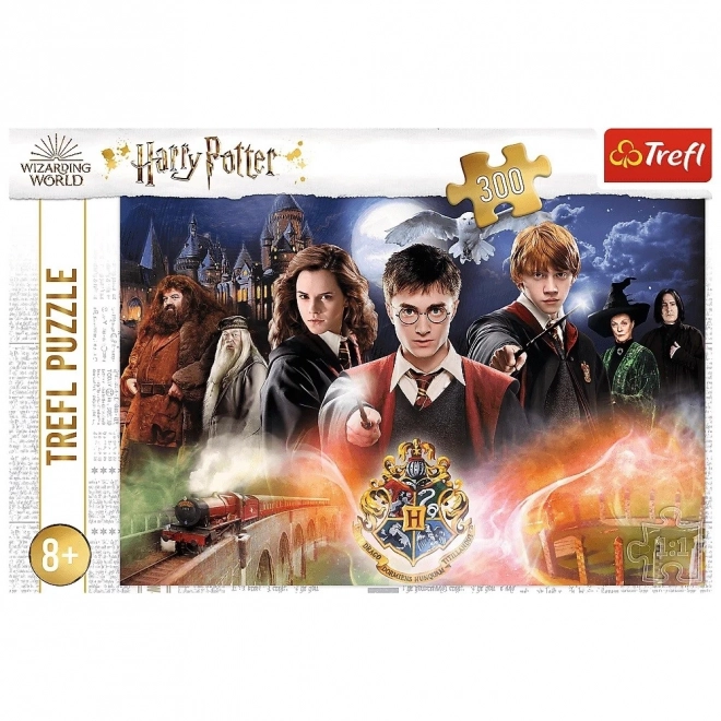 Tajemnicze puzzle Harry Potter 300 elementów