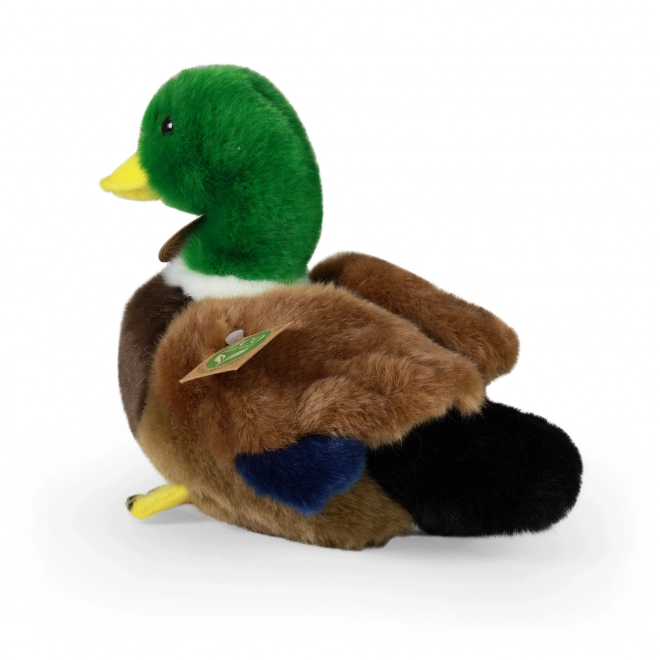 Pluszowa kaczka 20 cm ECO-FRIENDLY