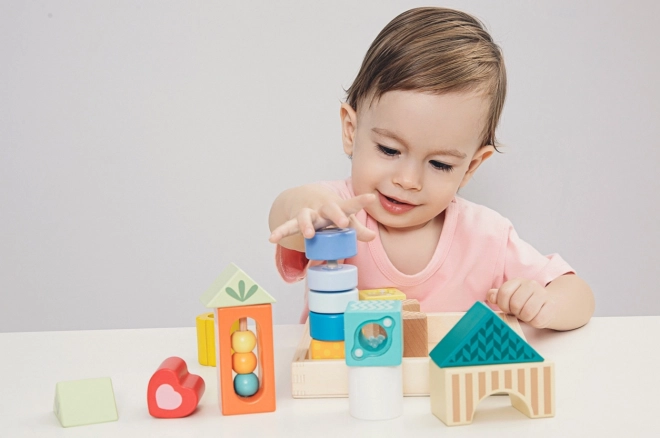 Drewniane sensoryczne klocki Classic World Montessori