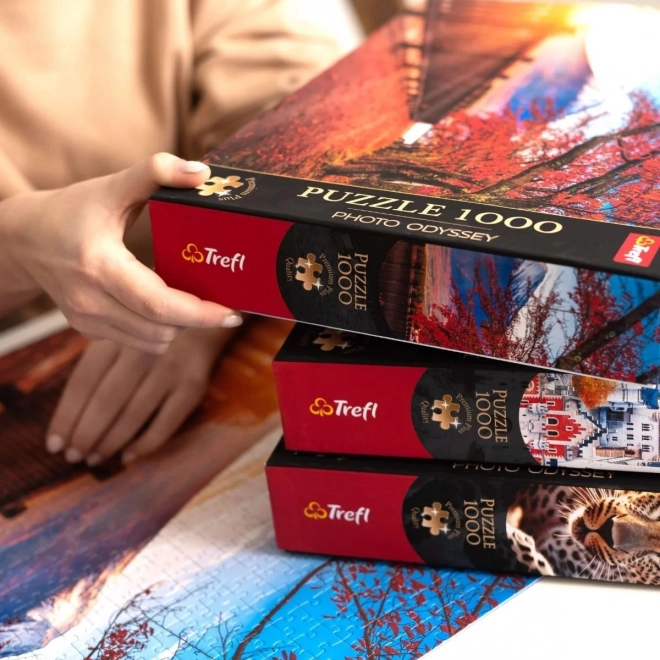 TREFL Puzzle Premium Plus Photo Odyssey: Latarnia morska na wyspie Sylt 1000 elementów