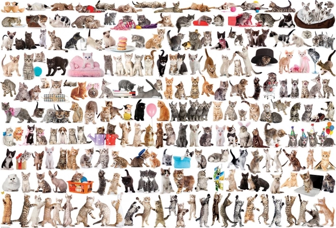 Puzzle EUROGRAPHICS świat kotów – 2000 elementów
