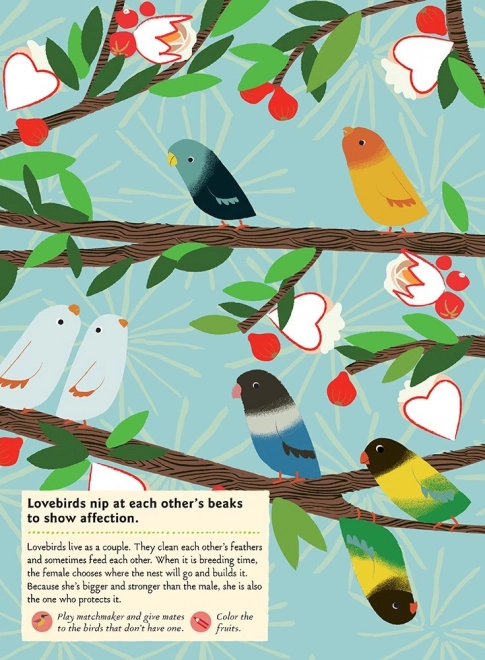 Chronicle Books Książka zadań z naklejkami natura Ptaki świata