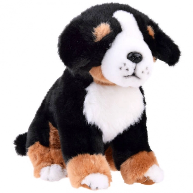 Pluszowy pies Berneński Pies Pasterski - siedzący 20 cm