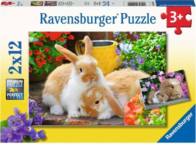 Puzzle Ravensburger czas na pieszczoty 2x12 części