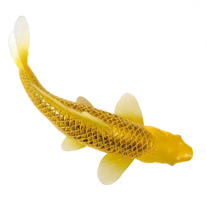 Mojo karp koi Matsuba