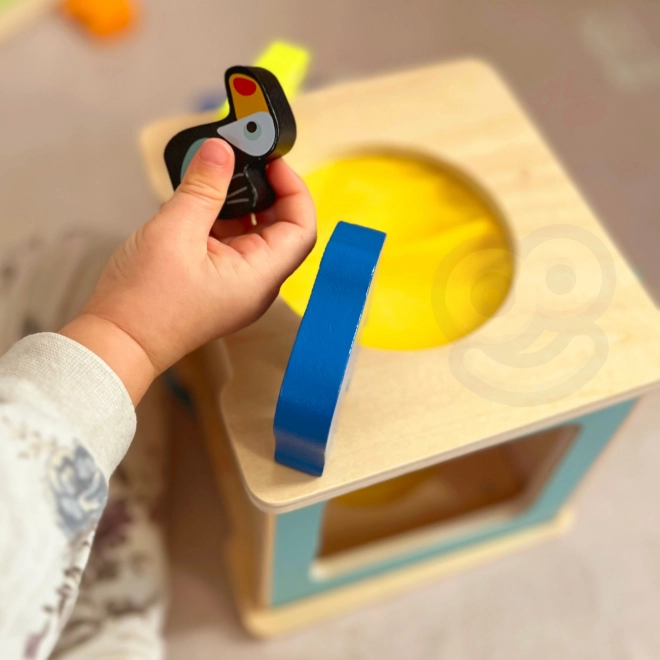 Edukacyjny Montessoriański box dla dzieci w wieku 31-36 miesięcy