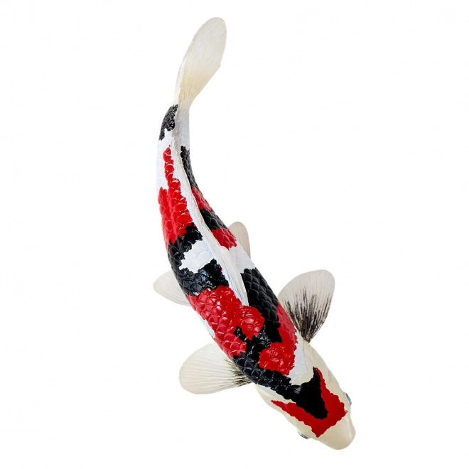 Mojo karp koi showa sanshoku