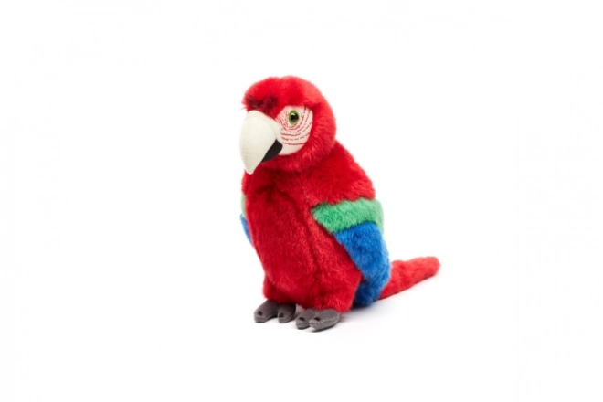 Pluszowa papuga