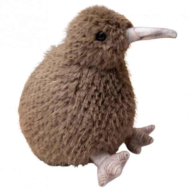 Puszysty ptak Kiwi