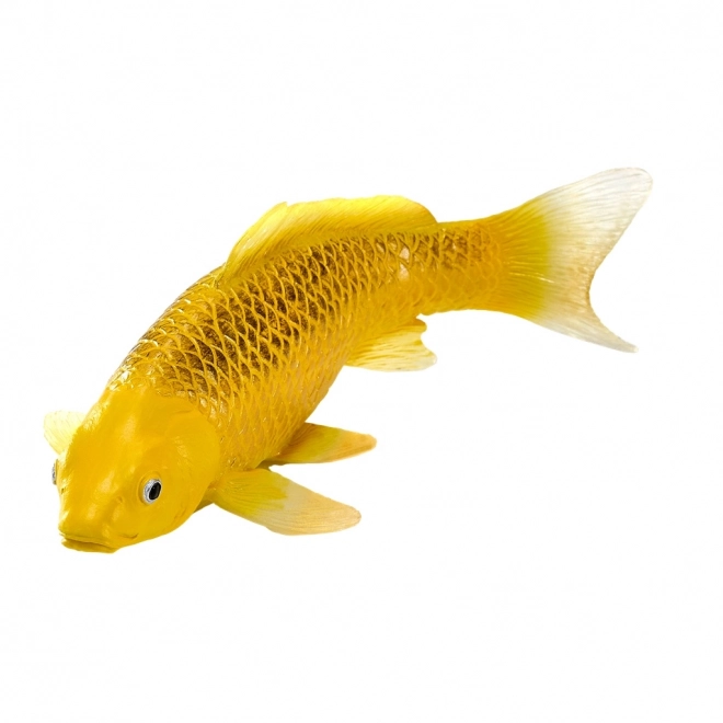 Mojo karp koi Matsuba