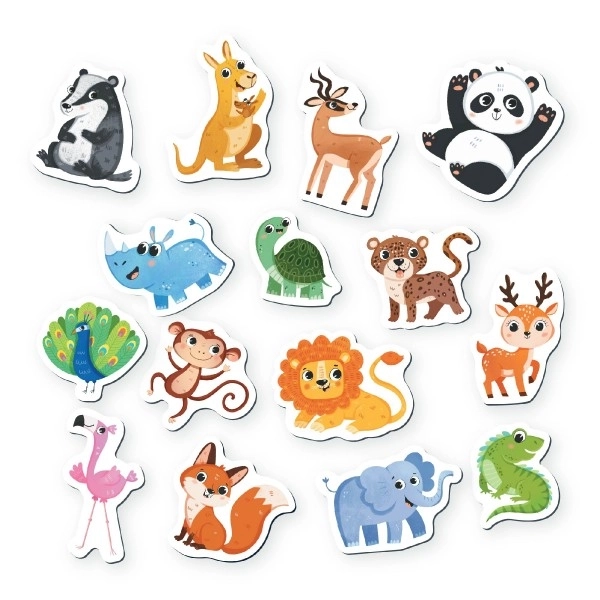 Magnesy Safari 15 sztuk w pudełku 17x11x3cm