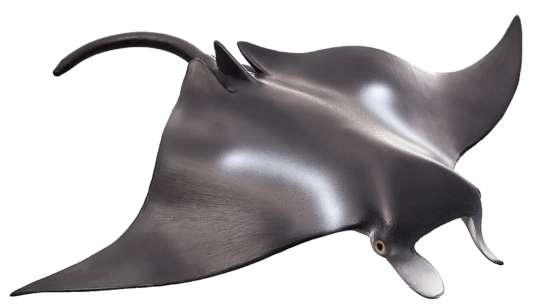 Mojo Animal Planet Płaszczka