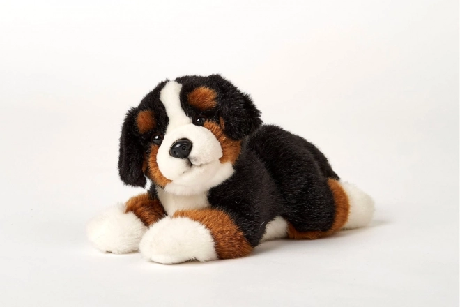 Plusz Berneński pies pasterski 25 cm