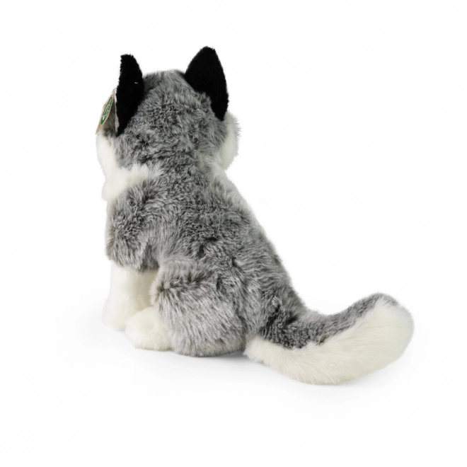 Pluszowy husky 30 cm Ekologiczny