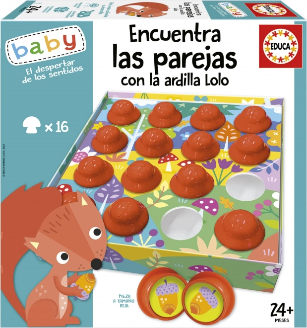 EDUCA Baby Znajdź pary z wiewiórką Lolo