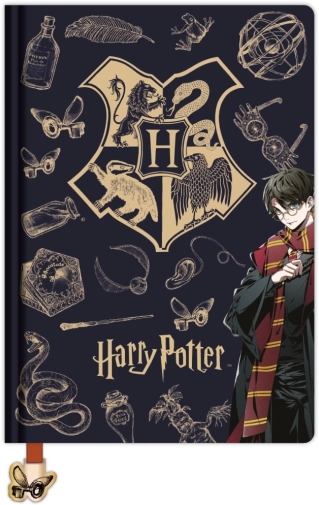 Harry Potter – liniowany notes A5 Navy & Gold