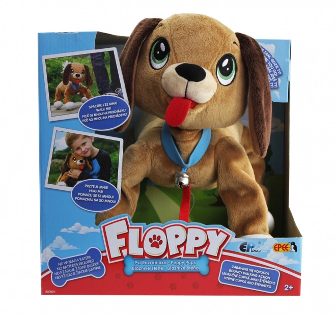 Piesek Floppy