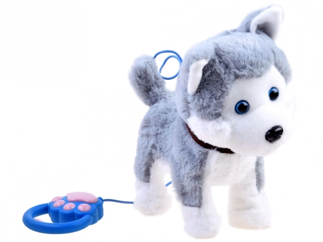 Interaktywny piesek Husky na smyczy