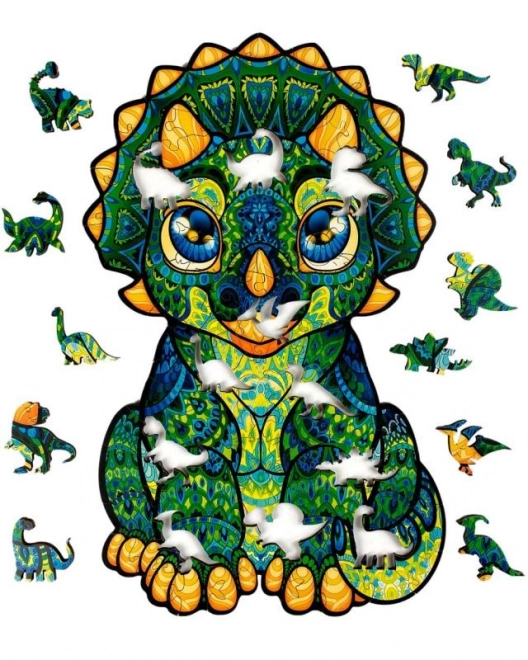 Magiczne drewniane kolorowe puzzle - Drogi Charlie