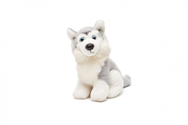 Pluszowy husky 15 cm