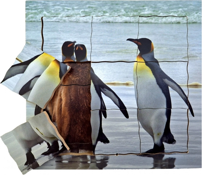 Just Jigsaws Drewniane warstwowe puzzle Pingwin i jego cykl życiowy 19 elementów