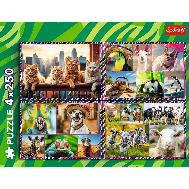 Puzzle 4x250 elementów Zabavne zwierzęta