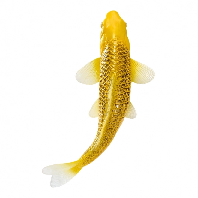 Mojo karp koi Matsuba