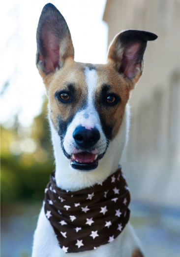 Wysoka jakość wykonania