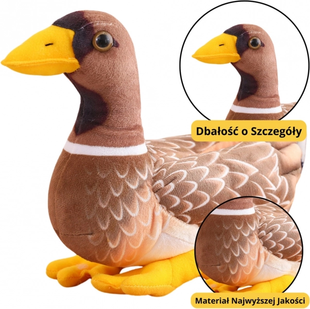 Pluszowa kaczka brązowo-żółta 28 cm