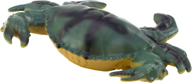 Realistyczne kolory i różne gatunki zwierząt morskich