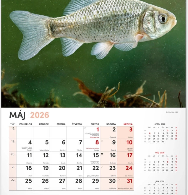 Kalendarz ścienny Wędkarski 2026