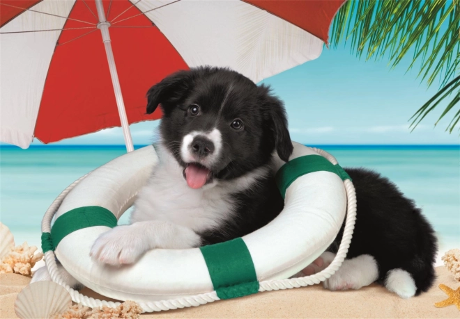 Zabawny motyw letniej plaży