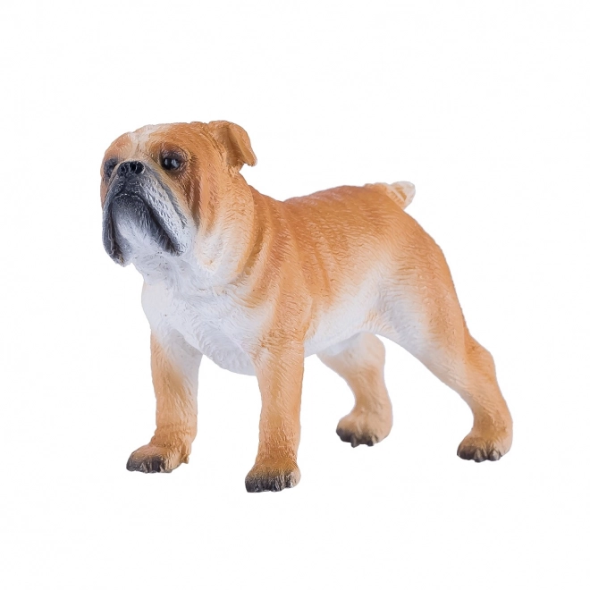 Mojo Buldog Angielski