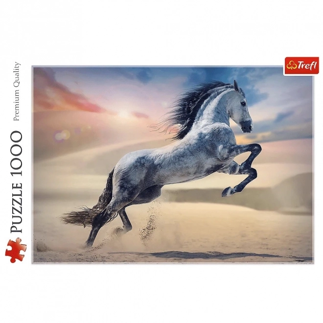 Puzzle 1000 elementów Majestat Konia