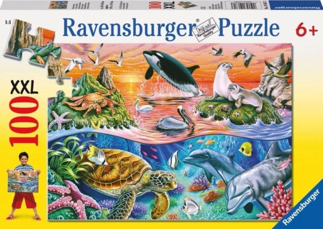 Puzzle Cudowny ocean XXL od Ravensburger 100 elementów