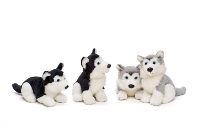 Pluszowy husky 15 cm
