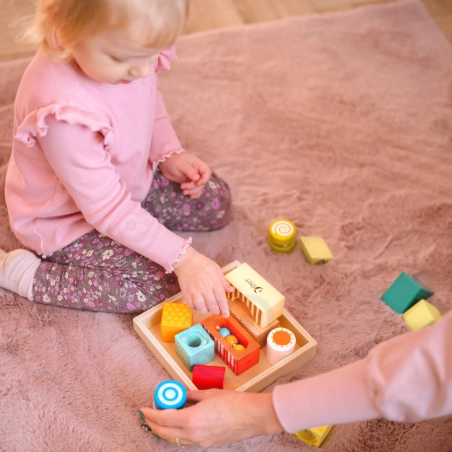 Drewniane sensoryczne klocki Classic World Montessori