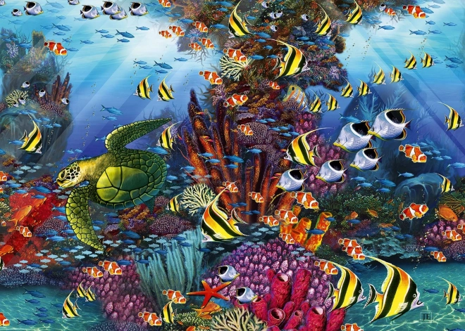ALIPSON puzzle rafa koralowa 1500 elementów