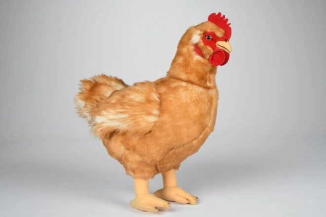 Pluszowy Kurczak