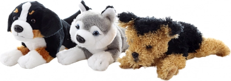 Bezpieczny od urodzenia (0+)